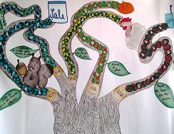 Progetto Biodiversità - Scuola J. Foroni di Valeggio (VR)